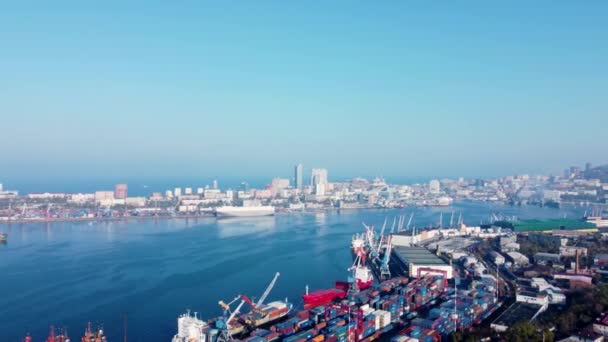 Vladivosztok Oroszország 2021 November Kilátás Arany Hídra Churkin Utcai Félsziget — Stock videók