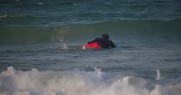 Idősebb ember szörfözik a vízben naplementekor. Sportoló abban a korban, aki szörfdeszkát cipel a strandon. — Stock videók