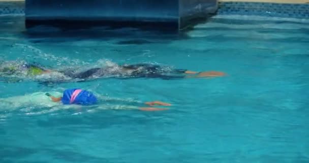 Profesjonalni pływacy, konkurencja mężczyzn i kobiet, którzy będą pływać szybciej w basenie.Koncepcja sportowa, pływanie pełzać, pływanie w basenie, profesjonalny pływak. — Wideo stockowe