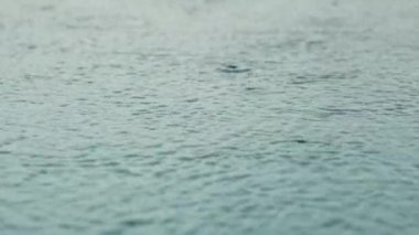 Büyük su birikintisinin üzerine yağmur damlaları, güçlü dalgalar, yağmur damlaları, yavaş çekimde yakın çekim. Yağmur suya yağar. Sel yağmurlu mevsimdir ve şiddetli yağmurdur..