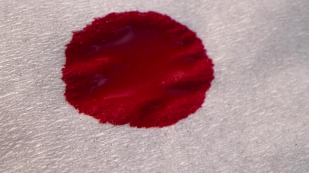 Conceito de sangue vermelho. Gotas de sangue pingam em um guardanapo de papel, o sangue se espalha sobre o guardanapo, tiro macro. — Vídeo de Stock