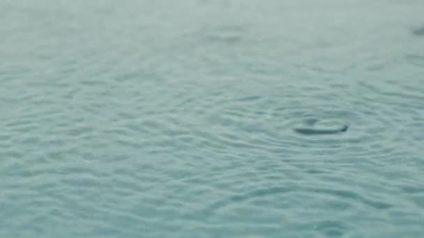 雨滴はプールに落ち、強い波紋は、ゆっくりと動きに近い雨滴。雨は水の中に落ちる。洪水は雨季と大雨です. — ストック動画