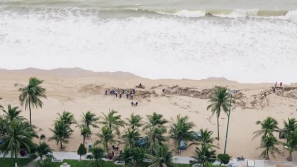 Volontari uomini e donne puliscono la spiaggia dopo una depressione tropicale.Cestino, centinaia di alberi, sacchetti della spazzatura, plastica, borse, bidoni della spazzatura sparsi sulla spiaggia dopo l'alta marea. I volontari puliscono la costa. — Video Stock