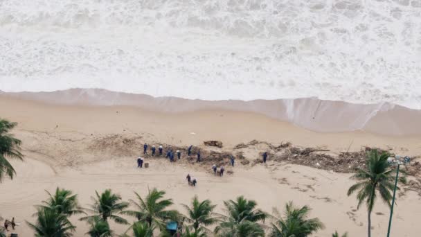 Волонтери жінка і чоловіки прибирають пляж після тропічної депресії, сотні дерев, сміттєві пакети, пластик, сумки, сміттєві баки, розкидані по пляжу після високого припливу. Волонтери прибирають узбережжя . — стокове відео