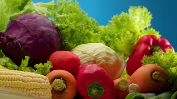 Świeże warzywa właśnie zebrane z ogrodowego łóżka z kroplami wody, na niebieskim tle, koncepcja rolnictwa. Targ rolniczy na wolnym powietrzu, świeże uprawy, zbiory pomidorów, marchew, zioła, papryka, awokado, ziemniaki — Wideo stockowe