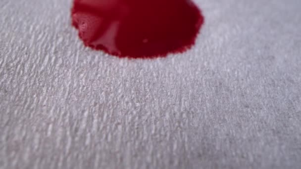 Koncepcja czerwonej krwi. Krople krwi kapią na papierową serwetkę, krew rozlewa się na serwetkę, ujęcie makro. — Wideo stockowe