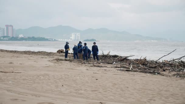 在经历了一场热带风暴之后，志愿者们，无论男女，都会从海滩上清理树木。垃圾堆、数百棵树、塑料、罐头在高潮后撒落在海滩上 — 图库视频影像