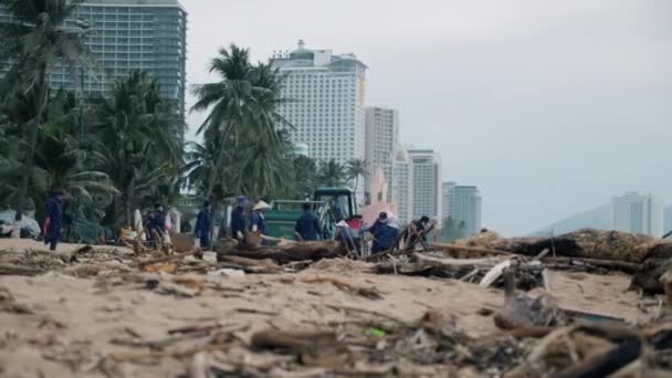 노동자들 과 특수 장비들, 여성들 과 남성들은 열 대 폭풍이 지나간 후 해변에서 깨끗 한 나무들을 청소 합니다. 쓰레기, 수백 그루의 나무들, 해변을 가로질러 늘어선 캔들. Nha Trang, Vietnam, December 3, 2021 — 비디오