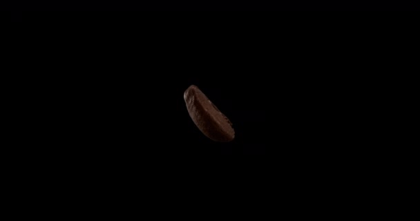 Plan macro d'un grain de café torréfié volant vers le haut, tourné sur un fond sombre, un grain de café volant vers le haut et tournant.. — Video