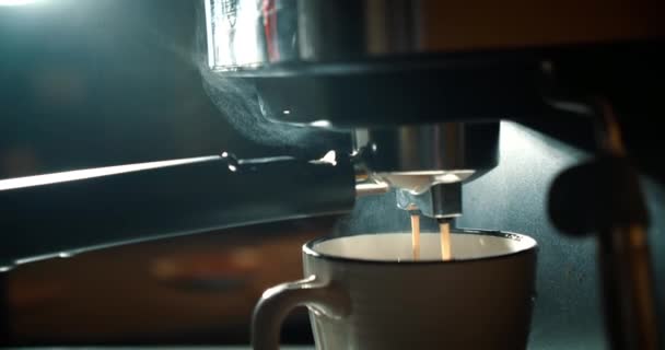 Preparazione caffè espresso, caffè espresso di altissima qualità italiano realizzato con una macchina da caffè professionale cade in una tazza da caffè. Caffè fresco macinato che scorre. — Video Stock