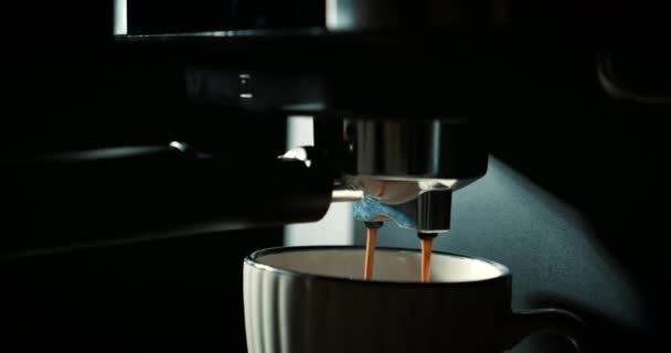 Preparazione caffè espresso, caffè espresso di altissima qualità italiano realizzato con una macchina da caffè professionale cade in una tazza di caffè. Utilizzo del portafiltro. Caffè fresco macinato che scorre. — Video Stock
