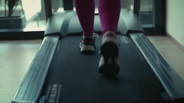 Legs of a male athlete on a treadmill. Close-up of male excellent legs with big muscles in sneakers in the gym overlooking a large window. — Stock Video