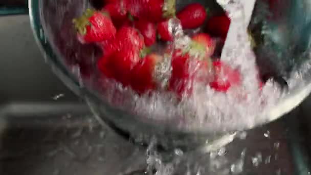 Szamóca mosás közelről.Szamóca mosása vízcsapból, szamóca közelről organikus gyümölcs — Stock videók