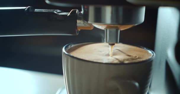 Versare il flusso di caffè dalla macchina in tazza. Casa a fare Espresso caldo. Utilizzo del portafiltro. Caffè macinato fresco che scorre. Bere caffè nero torrefatto al mattino. — Video Stock