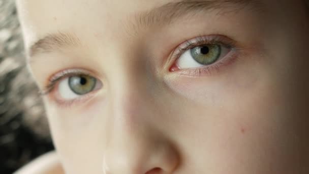 Portrait Little Child Girl Looking at Camera. Close up eye kid girl Thinking Curiosity Child Looking at Camera Closeup. Face Eyes Serious Contemplative Child. — Stock Video