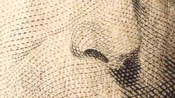 Багато Американські Доларові Купюри Грошові Купюри Франкліни Стикаються Текстурою Фінансова — стокове відео