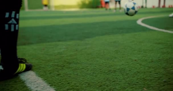 Los Niños Juegan Fútbol Campo Fútbol Futbolista Patea Pelota Los — Vídeo de stock