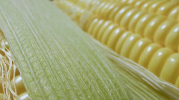 Кукурудзяний Урожай Макрозйомка Кукурудзяних Цицьок Упакована Загорнута Паперовий Мішок Готових — стокове відео