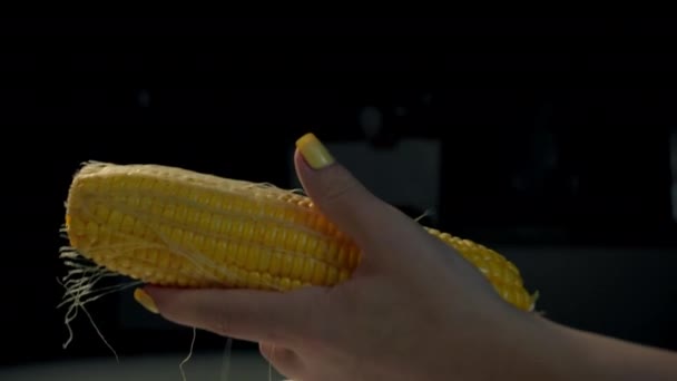 Кукурудзяний Урожай Жіночі Руки Видаляють Шкірку Кукурудзи Коб Поля Кукурудзяна — стокове відео