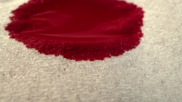 Darah Merah Diserap Dalam Kertas Serbet Putih Kertas Tembakan Makro — Stok Video