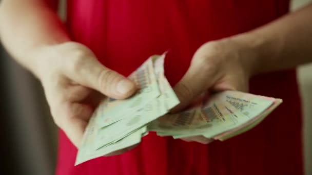 Mujer Cuenta Dinero Manos Contando Facturas Vietnam Dong Pagando Efectivo — Vídeos de Stock
