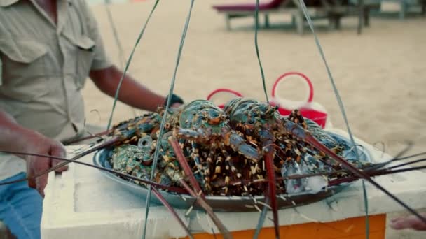 Kreeft Verkoper Visser Het Strand Verkoopt Kreeften Aan Vakantiegangers Het — Stockvideo