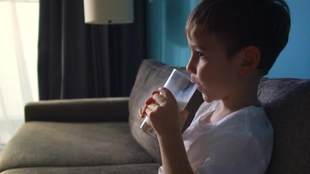 Een Jongetje Dat Melk Drinkt Gezond Eten Een Kind Eten — Stockvideo