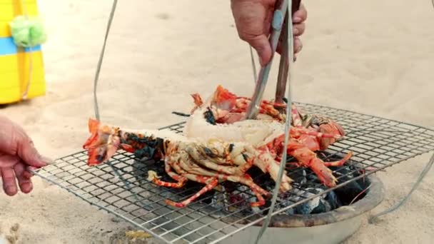 Vendedor Lagostas Pescador Praia Cozinhando Lagostas Carvão Vegetal Cozinhando Lagostas — Vídeo de Stock