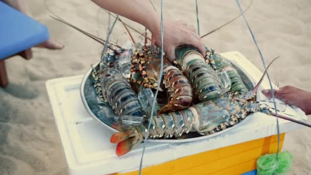 龙虾卖家 海滩上的渔夫卖龙虾给海滩上的度假者 新鲜龙虾 男性游客选择大的新鲜肉类龙虾 — 图库视频影像