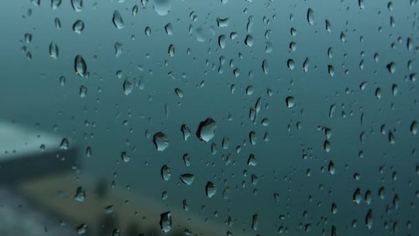 Bei Einem Sommerschauer Schlagen Große Regentropfen Gegen Eine Fensterscheibe Wassertropfen — Stockvideo