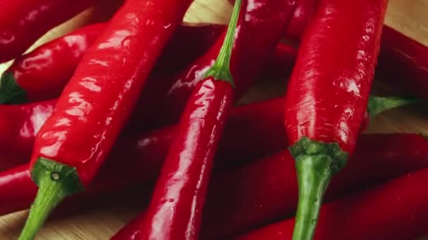 Reife Rote Chilischoten Sind Ein Kulinarischer Genuss Und Die Ernte — Stockvideo