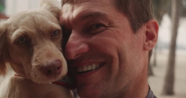Film Zblízka Záběr Šťastný Muž Laskání Líbání Jeho Rodokmen Psa — Stock video