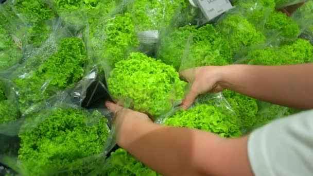 Mão Feminina Escolhe Salada Repolho Faz Compras Supermercado Compra Mantimentos — Vídeo de Stock