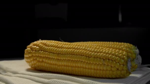 Кукурудзяний Урожай Макро Постріл Кукурудзяних Цицьок Поля Кукурудзяна Ферма Золота — стокове відео