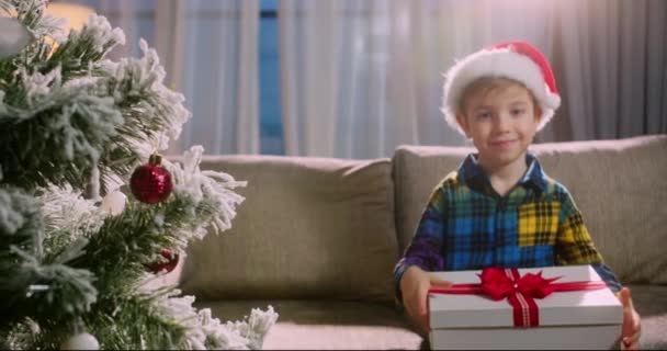 Portret Szczęśliwego Dziecka Świątecznym Kapeluszu Bożonarodzeniowym Piękny Portret Uśmiechniętego Chłopca — Wideo stockowe