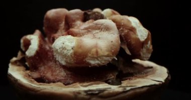 Makro çekim, siyah ve sarı arka planda güzel ışık altında fındık bademlerinin yakın çekim makrosu, Macro badem fındıklı meyveler. Sağlıklı besin organik gıdalar.