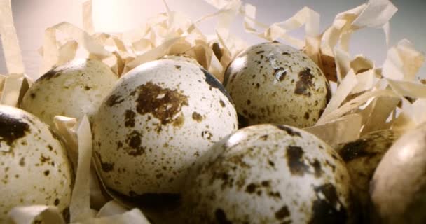 トップビュー わらの巣でウズラの卵を閉じます 有機農業 自然の静物画 春だイースター 回転するウズラの卵のクローズアップ 鮮やかなカラフルなウズラの卵 マクロだ 選択的フォーカス ウズラ — ストック動画