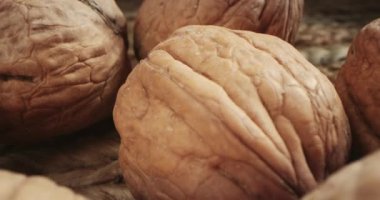 Makro çekim, siyah ve sarı arka planda güzel ışık altında fındık bademlerinin yakın çekim makrosu, Macro badem fındıklı meyveler. Sağlıklı besin organik gıdalar.
