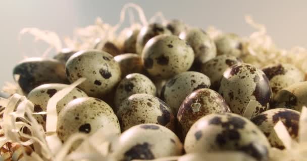 Top View Close Quail Eggs Straw Nest Organic Farming Natural — Stock Video