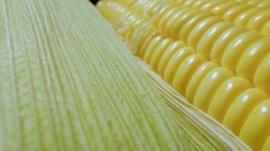 Mısır hasadı. Mısır koçanlarının makro fotoğrafları paketlenmiş ve paketlenmiş ve satılık ürünler haline getirilmiş. Paketinde fiyat etiketi olan deri kaplı altın mısır. Ekolojik ürün, organik bahçe..