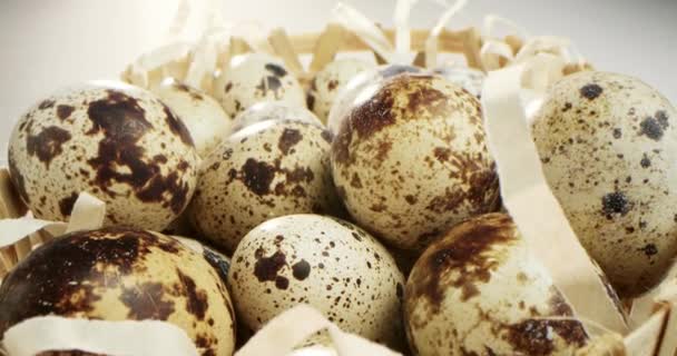 Bıldırcın Yumurtalarının Dönüşümlü Görüntüsü Parlak Renkli Bıldırcın Yumurtaları Makro Seçici — Stok video