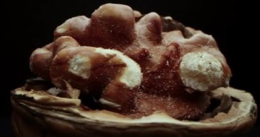 Siyah arka planda cevizi açmak dönüşümlü. Makro çekim, fındıklı fındıklı fındıklı fındıklı yakın çekim siyah ve sarı arka plan, Macro cevizli meyve fırlattı. Sağlıklı yiyecekler Organik yiyecekler