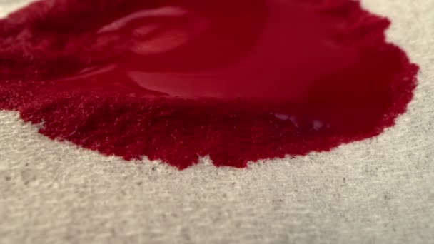 Czerwona Krew Jest Wchłaniana Papieru Biała Serwetka Makro Shot — Wideo stockowe