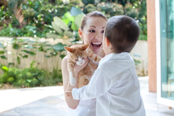 Aasian äiti pojan ja kissan kanssa tekijänoikeusvapaita kuvapankkikuvia