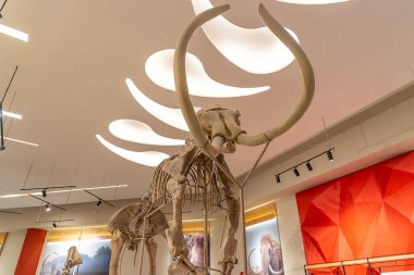 Mamut Müzesi, Santa Lucia Meksika