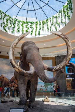Mamut Müzesi, Santa Lucia Meksika - Nisan 2022 