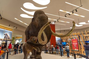 Mamut Müzesi, Santa Lucia Meksika 