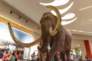 Mamut Müzesi, Santa Lucia Meksika - Nisan 2022 