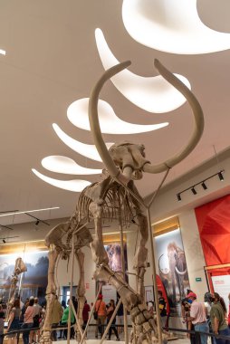 Mamut Müzesi, Santa Lucia Meksika 