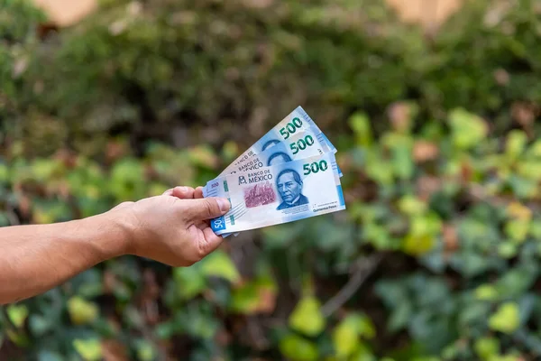 Hand Holding Cash Street Some Foliage Background Paymant Mexican Pesos — Stock Fotó